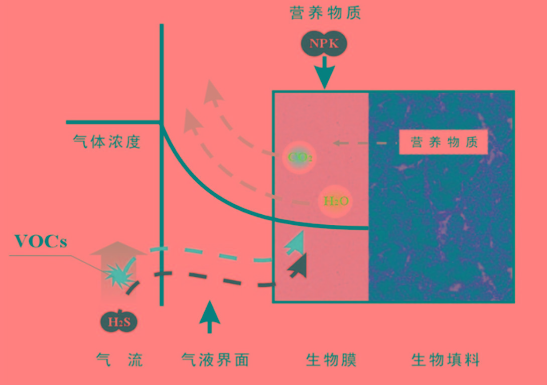 生物除臭技術(shù)01.jpg