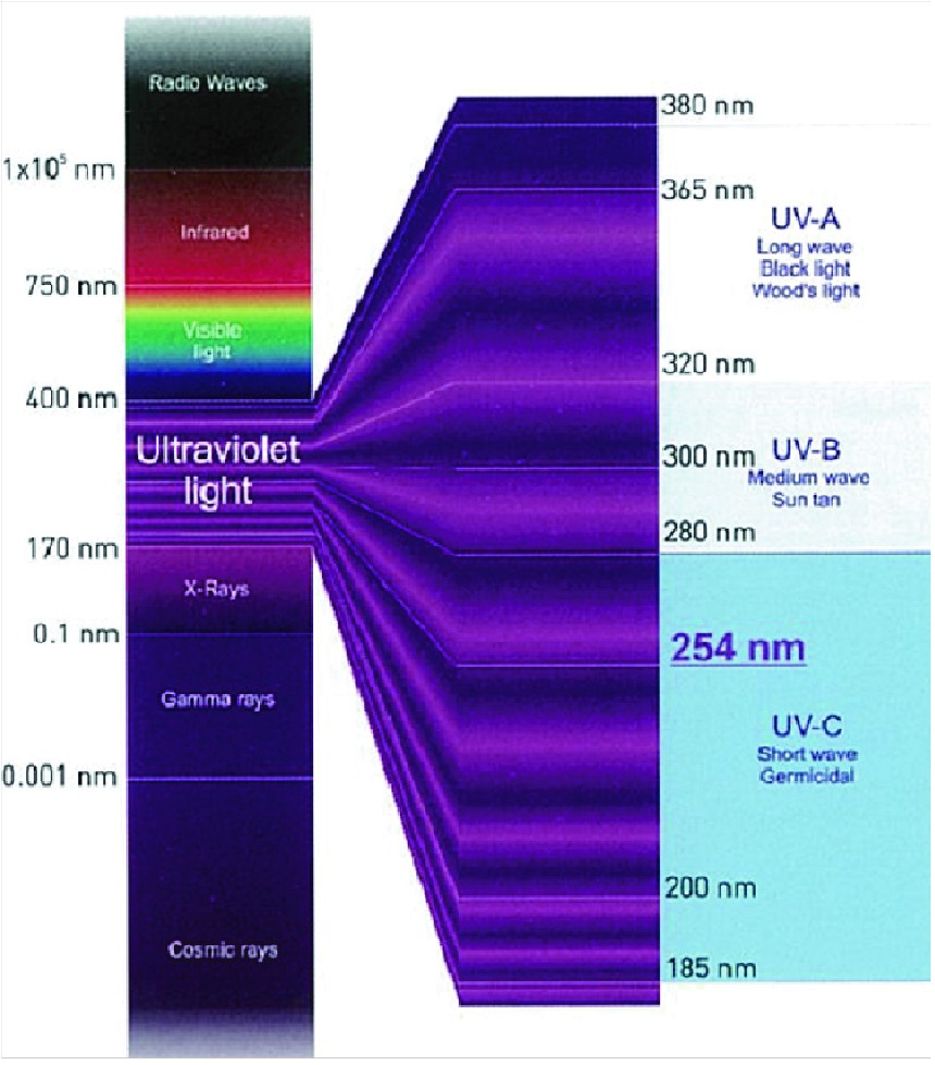 1537943307854489.jpg